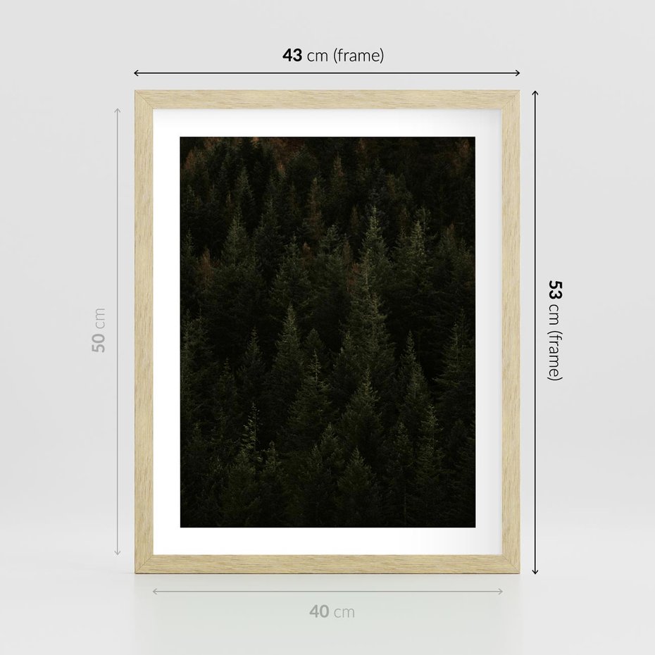 Plakat w ramie 40x50 - Ciemny las iglasty - las, iglasty - rama drewno