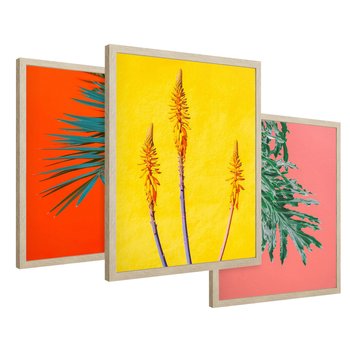 Zestaw obrazy w ramie 50x70 galeria - Rośliny, liście, kolorowe, energetyczne, tło - rama drewno