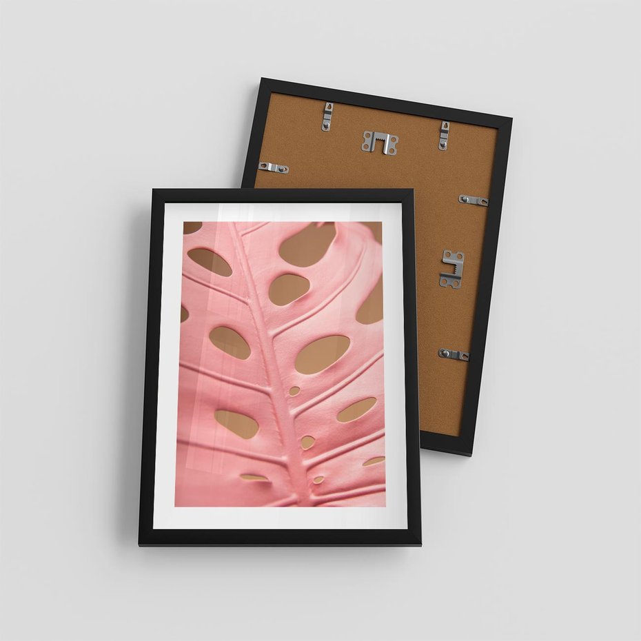 Plakat w ramie 30x40 - Różowa monstera w pełnym rozkwicie - różowa, monstera - rama czarna