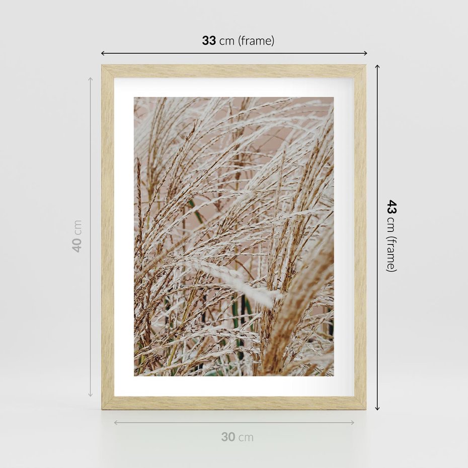 Plakat w ramie 30x40 - Beżowa Trawa - suche trawy, zbliżenie - rama drewno