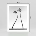 Plakat bez ramy 40x50 - Samotne Palmy - czarno biała fotografia, dwie samotne palmy