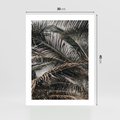 Plakat bez ramy 30x40 - Liściaste Palmy - palmy, drzewa palmowe