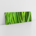 Obraz na płótnie 150x50 - Trawa w abstrakcji: natura przekształcona - trawa, abstrakcja
