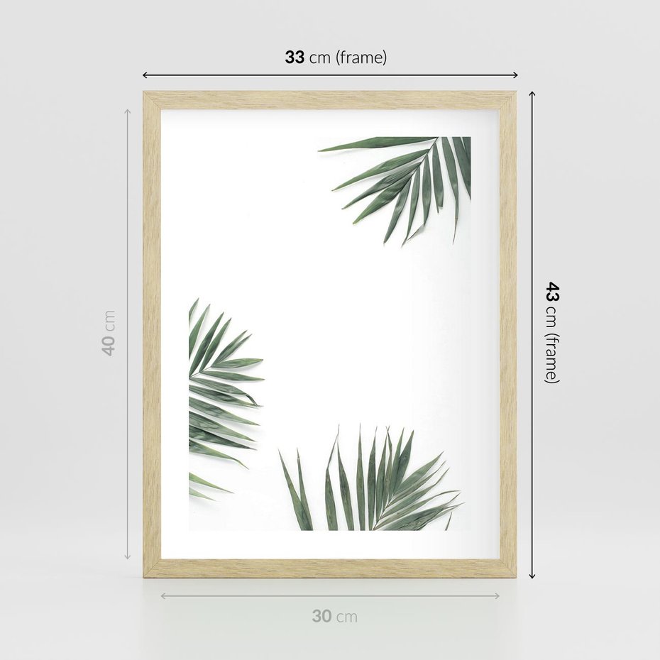 Plakat w ramie 30x40 - Liście Palmy na Czystym Tle - liście palmy, białe tło - rama drewno