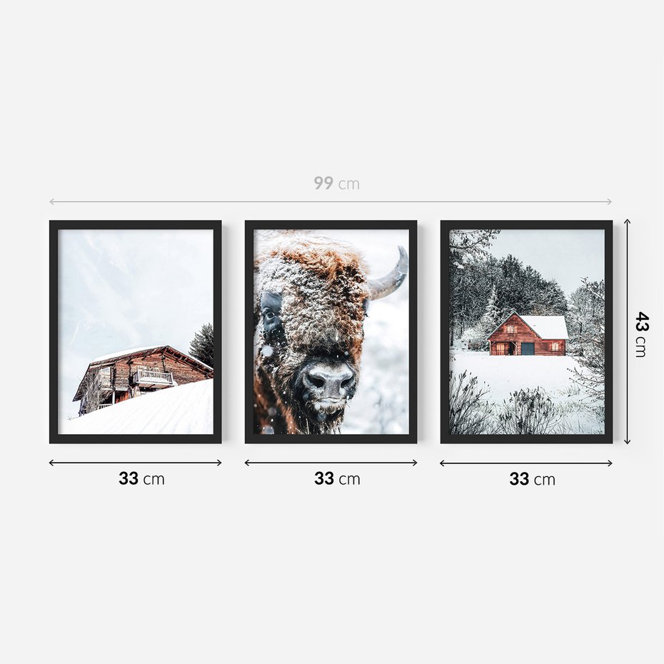 Zestaw obrazy w ramie 30x40 galeria - Zima, bizon, góry, śnieg - rama czarna