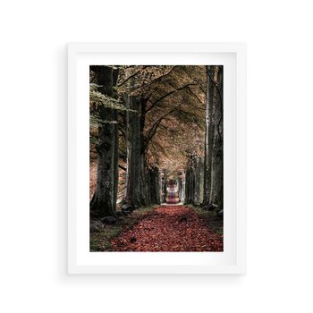 Plakat w ramie 50x70 - Spacer po Leśnej Drodze - ścieżka w lesie, jesień suche liście - rama biała