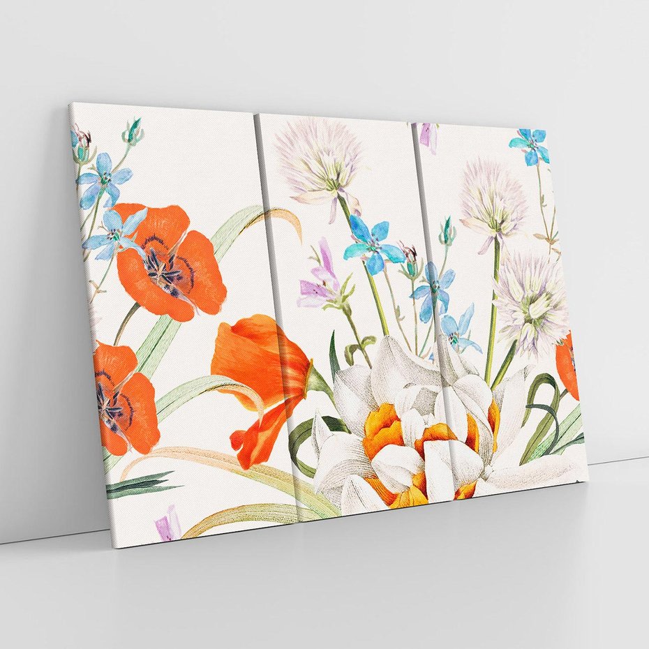 Obraz na płótnie 120x80 - Polne Kwiaty - polne kwiaty, na białym tle