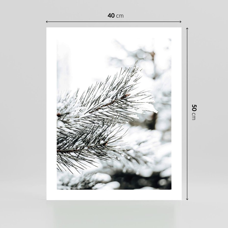 Plakat bez ramy 40x50 - Chwila Zimowej Magii - iglasta gałązka, śnieg