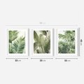 Zestaw obrazy w ramie 30x40 galeria - tropikalne, liście, palmy, bananowiec - rama biała