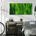 Obraz na płótnie 140x70 - Bambusowy urok zielonej harmonii - bambus, zieleń