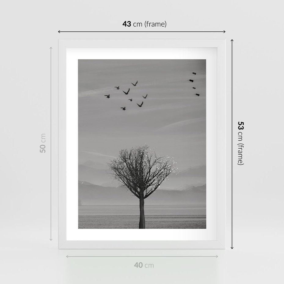 Plakat w ramie 40x50 - Samotne Drzewo - samotne drzewo w polu, czarno białe zdjęcie - rama biała