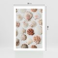 Plakat bez ramy 21x30 - Morska Delikatność: Muszelki na Białym Tle - kompozycja, morskie muszelki na białym tle