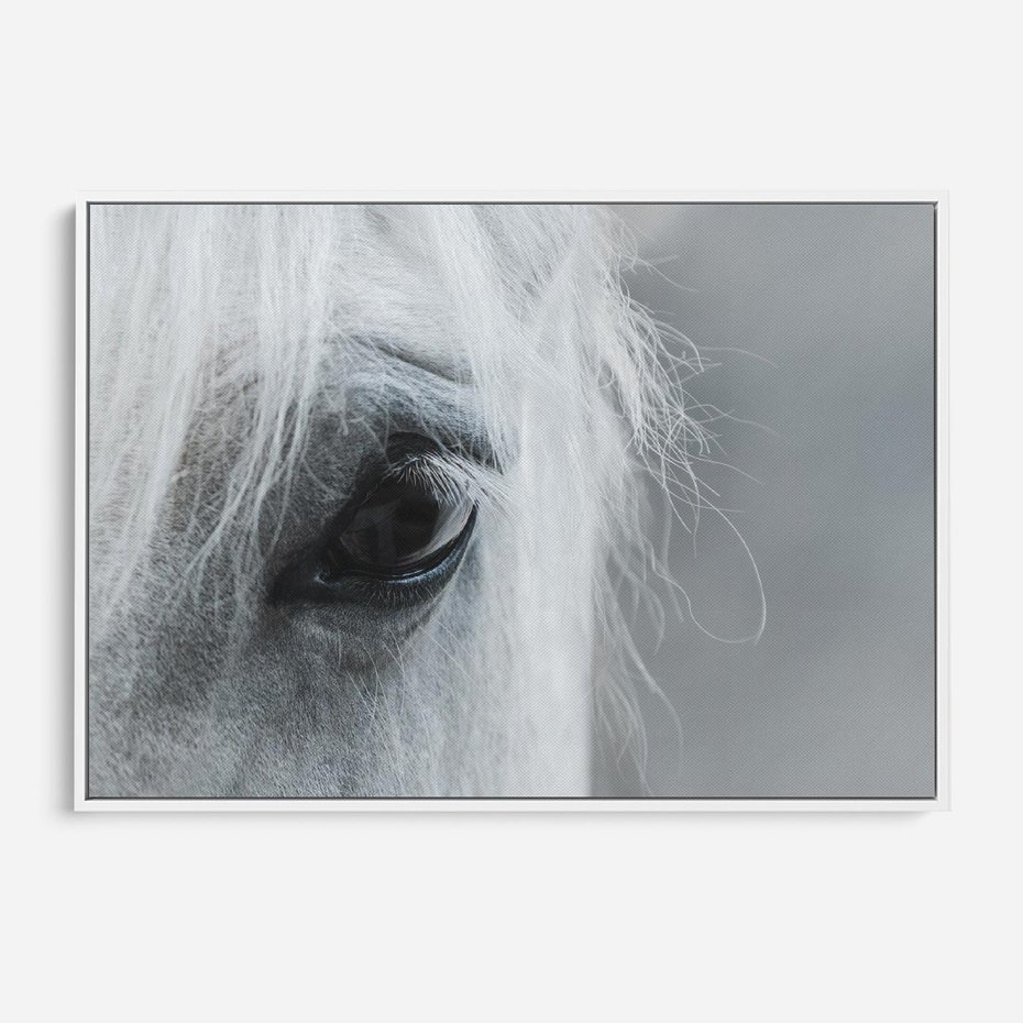 Obraz w ramie 70x50 - Oko Mocy - czarno białe zdjęcie, zbliżenie makro na oko konia - rama biała