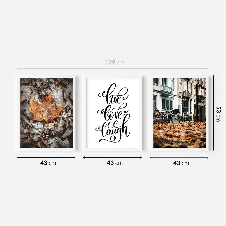 Zestaw obrazy w ramie 40x50 galeria - Jesień, rower, typografia, napis - rama biała