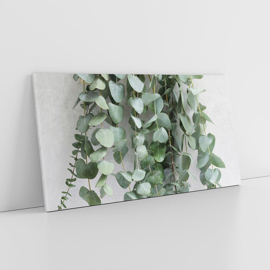 Obraz na płótnie 120x60 - Uwodzicielska zieleń eukaliptusa - eukaliptus, zielone