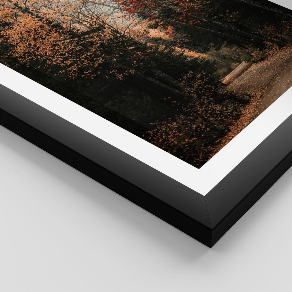 Plakat w ramie 40x50 - Drzewa w Czerwonych Liściach - las, jesienny las - rama czarna