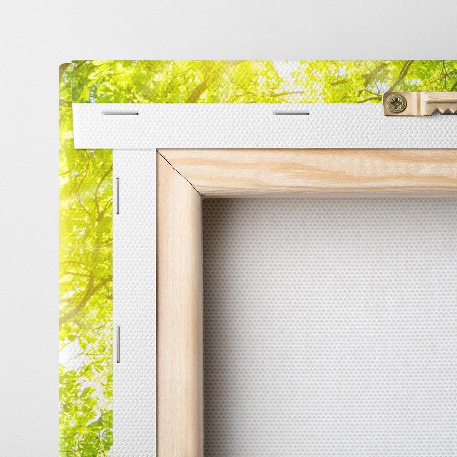 Obraz na płótnie 120x60 - Drzewo pod Słońcem: Łączność z Naturą - drzewo, słońce