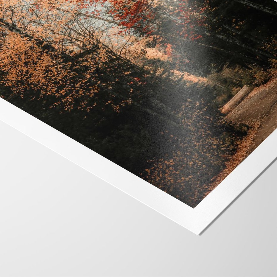 Plakat bez ramy 30x40 - Drzewa w Czerwonych Liściach - las, jesienny las