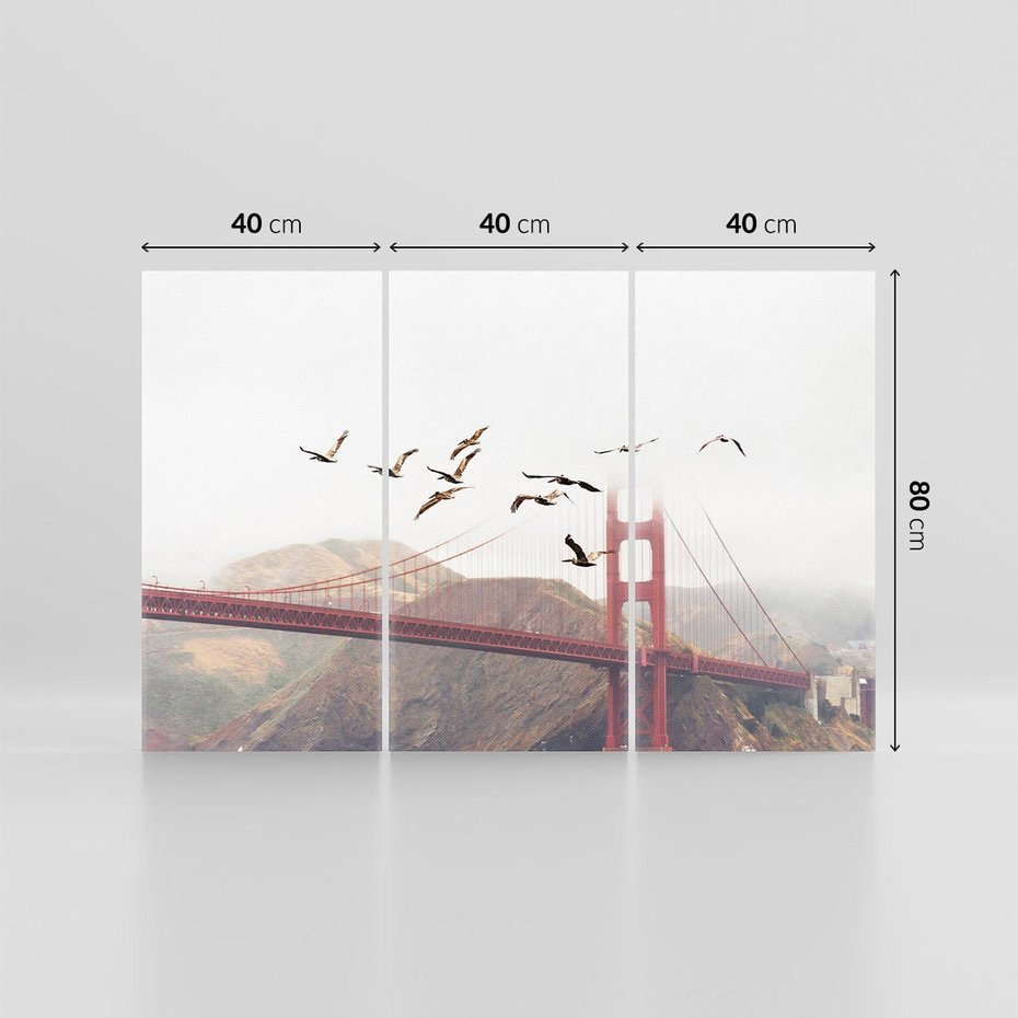 Obraz na płótnie 120x80 - Mewy przy Złotej Bramie - mewy, Golden Gate