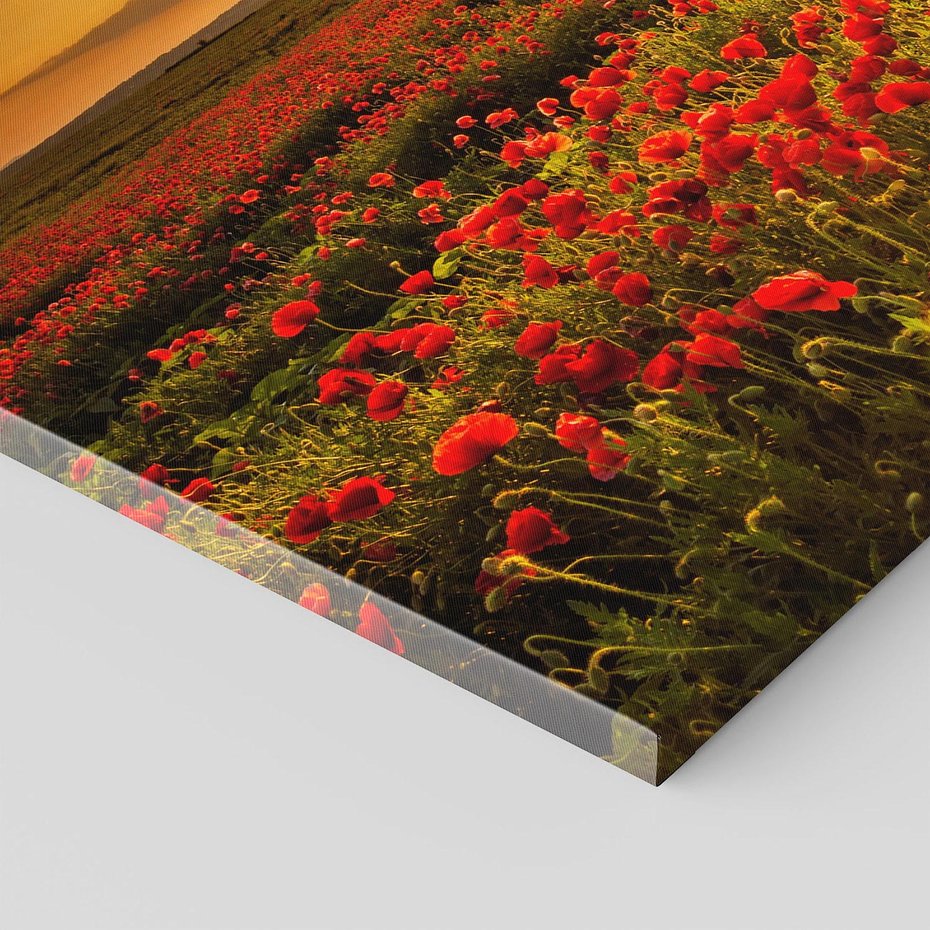 Obraz na płótnie 70x50 - Makowe uczucia - maki, kwiaty