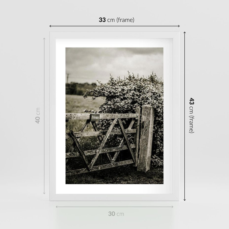 Plakat w ramie 30x40 - Wiejski Urok: Stary Płot i Kwitnący Krzew - rustykalne zdjęcie, stary płot - rama biała