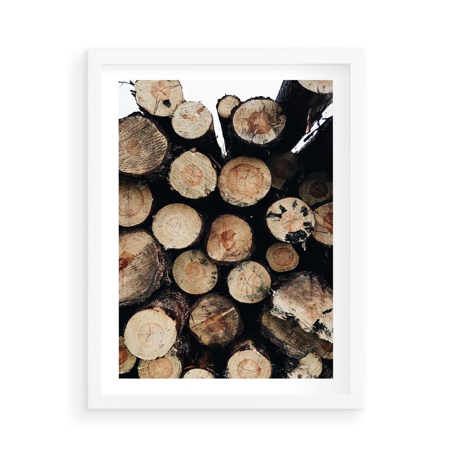 Plakat w ramie 50x70 - Siła Drewna - ścięte drewno, belki drewna ułożone jedna na drugiej - rama biała