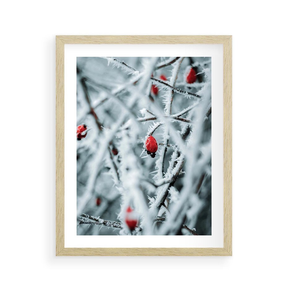 Plakat w ramie 40x50 - Zima na Gałęziach - zima, oszronione gałęzie - rama drewno