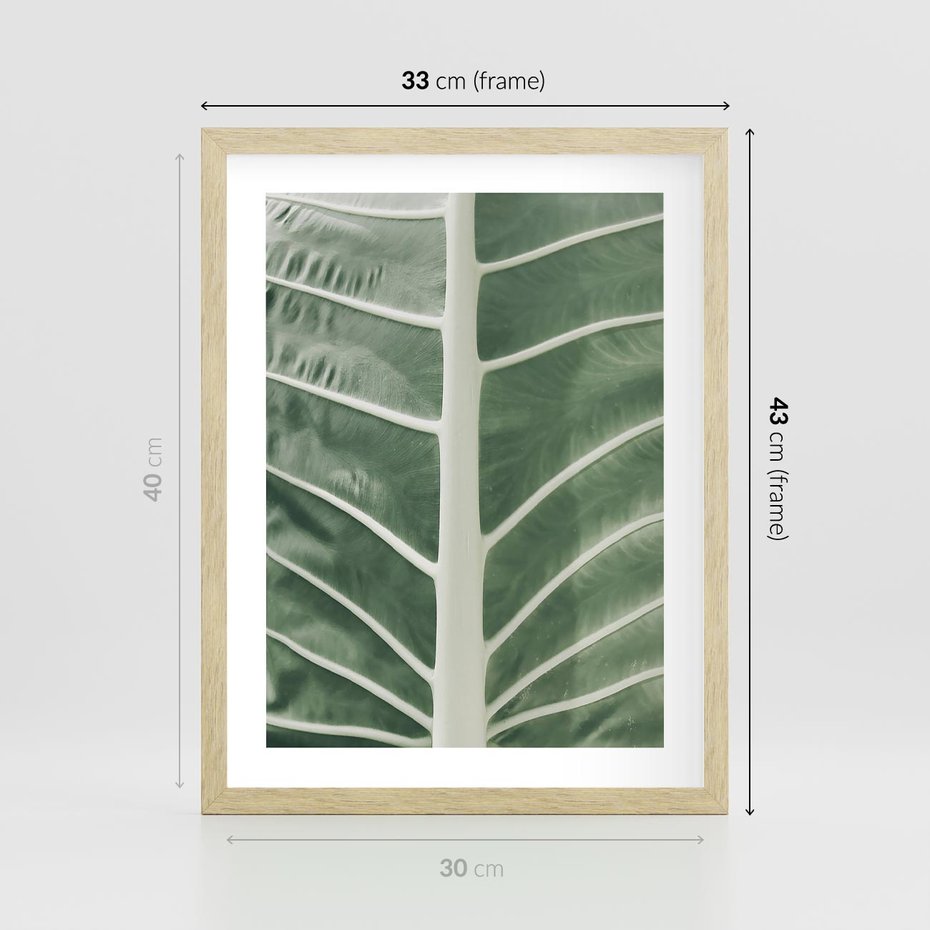 Plakat w ramie 30x40 - Zielone Wielkości: Zbliżenie Liścia - zbliżenie duz liść, jasna zieleń - rama drewno