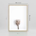 Plakat w ramie 50x70 - Suszona Roślina na Białym Tle - minimalizm, suszona roślina - rama drewno