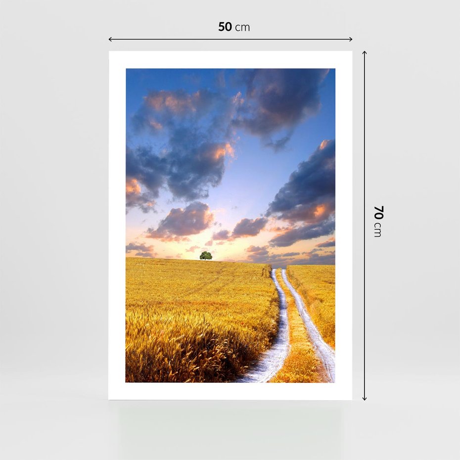 Plakat bez ramy 50x70 - Magiczna droga w lesie - droga, ścieżka