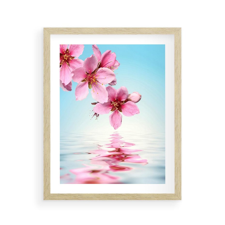 Plakat w ramie 40x50 - Magia kwitnącej wiśni - kwitnąca, wiśnia - rama drewno