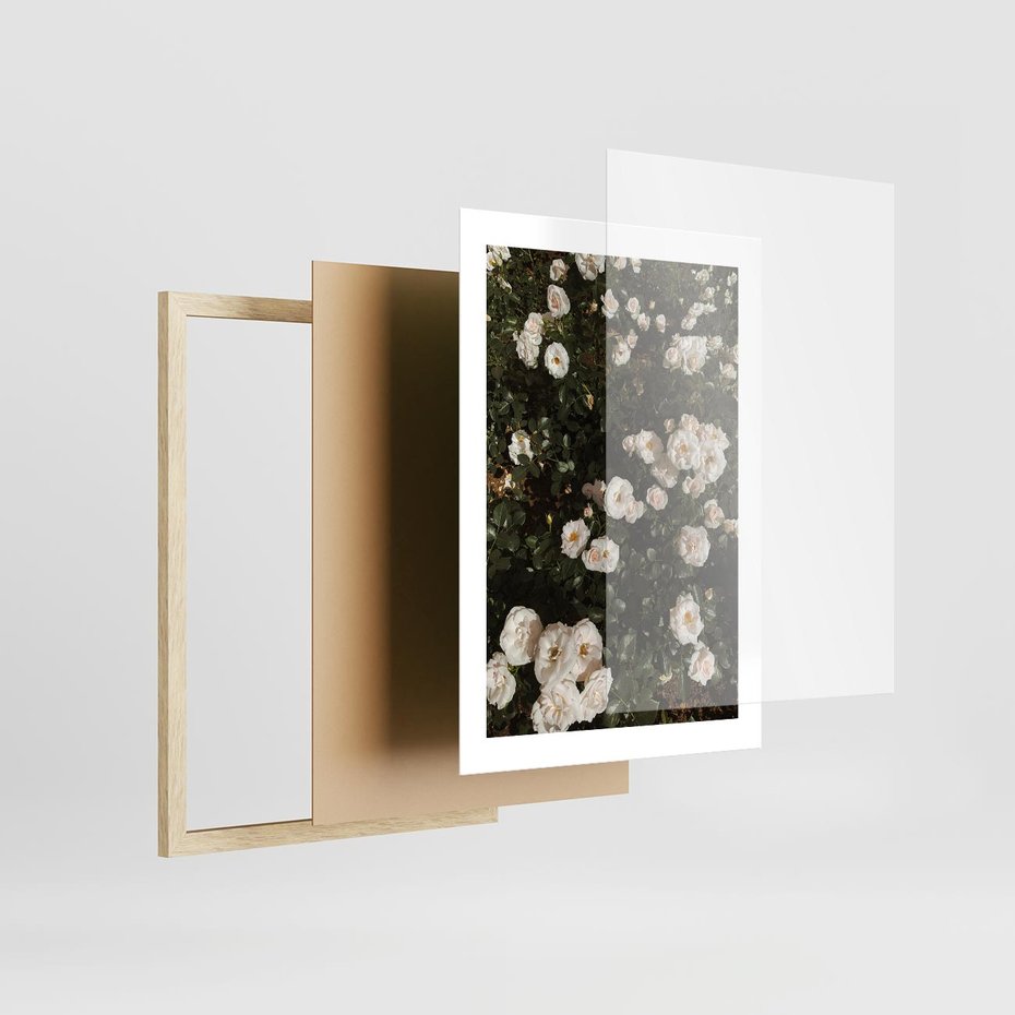 Plakat w ramie 30x40 - Czyste Piękno - białe kwiaty, białe róże - rama drewno