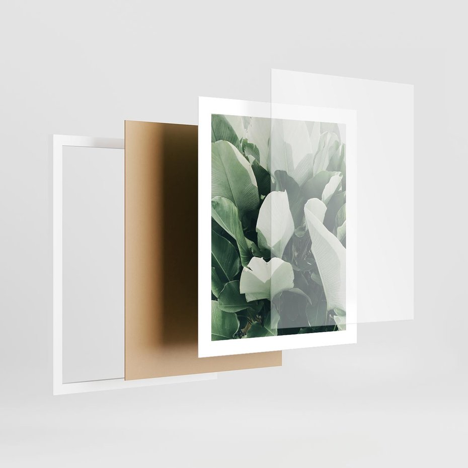 Plakat w ramie 40x50 - Zgaszona Uroda Natury - zielone liście, zgaszona zieleń - rama biała