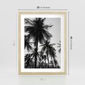 Plakat w ramie 30x40 - Mono Tropiki - palmy, drzewa palmowe - rama drewno