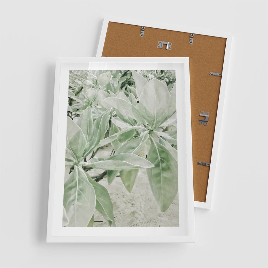 Plakat w ramie 50x70 - Jasnozielone Liście w Kompozycji - liście, jasna zieleń - rama biała