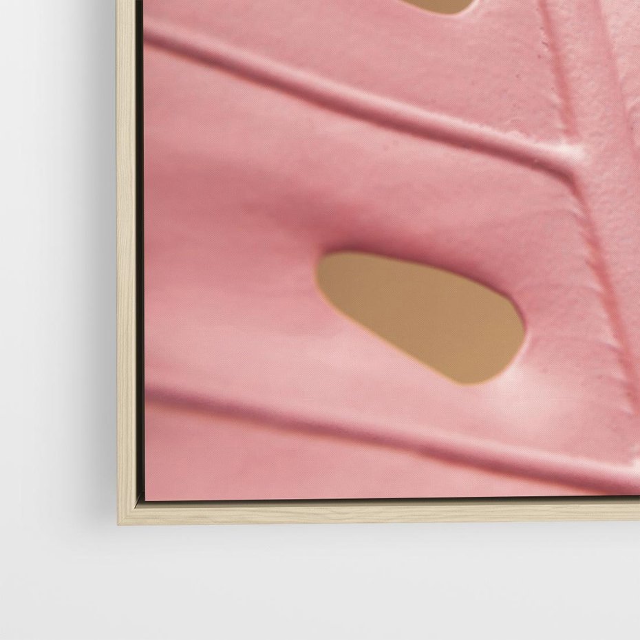 Obraz w ramie 50x50 - Różowa monstera w pełnym rozkwicie - różowa, monstera - rama drewno