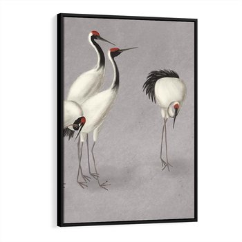 Obraz w ramie 70x100 - Spojrzenie wstecz w pędzlu - szkic rysunek, japońskie żurawie - rama czarna