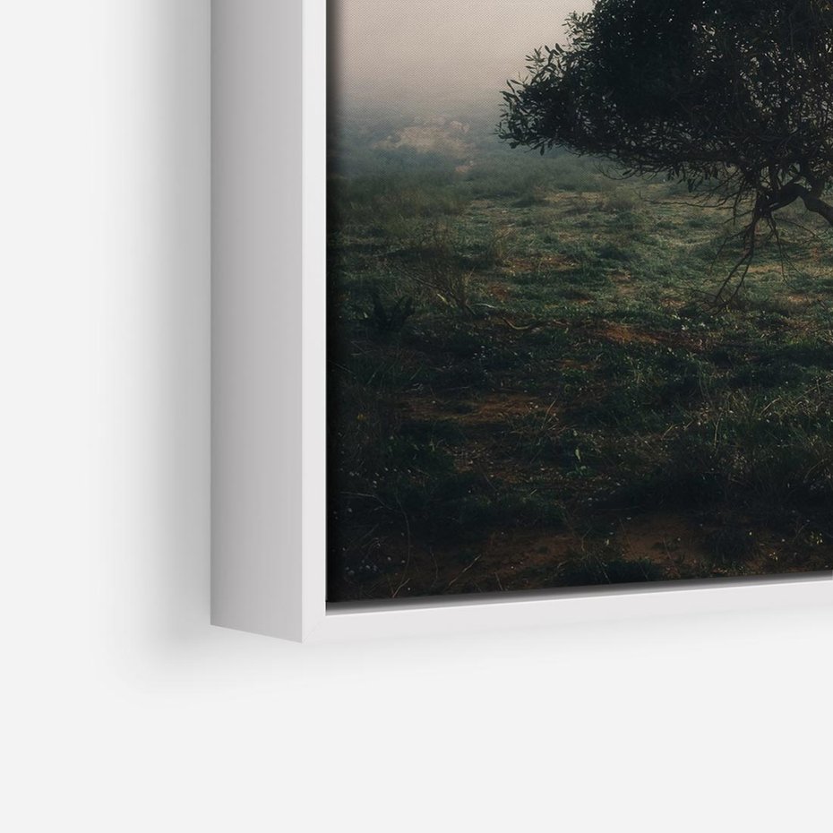 Obraz w ramie 50x50 - Zamglona Prostota - artystyczna fotografia, samotne drzewo na zamglonej łące - rama biała