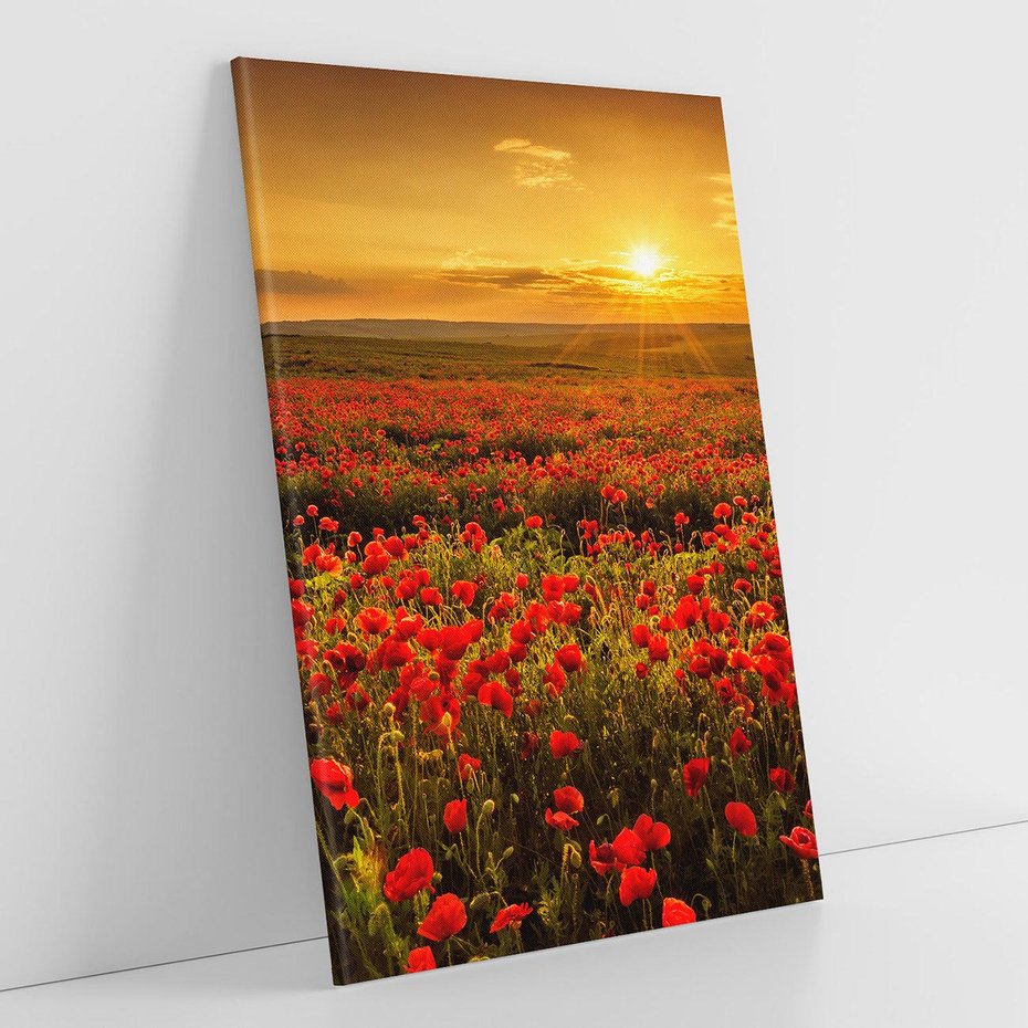Obraz na płótnie 50x70 - Makowe uczucia - maki, kwiaty