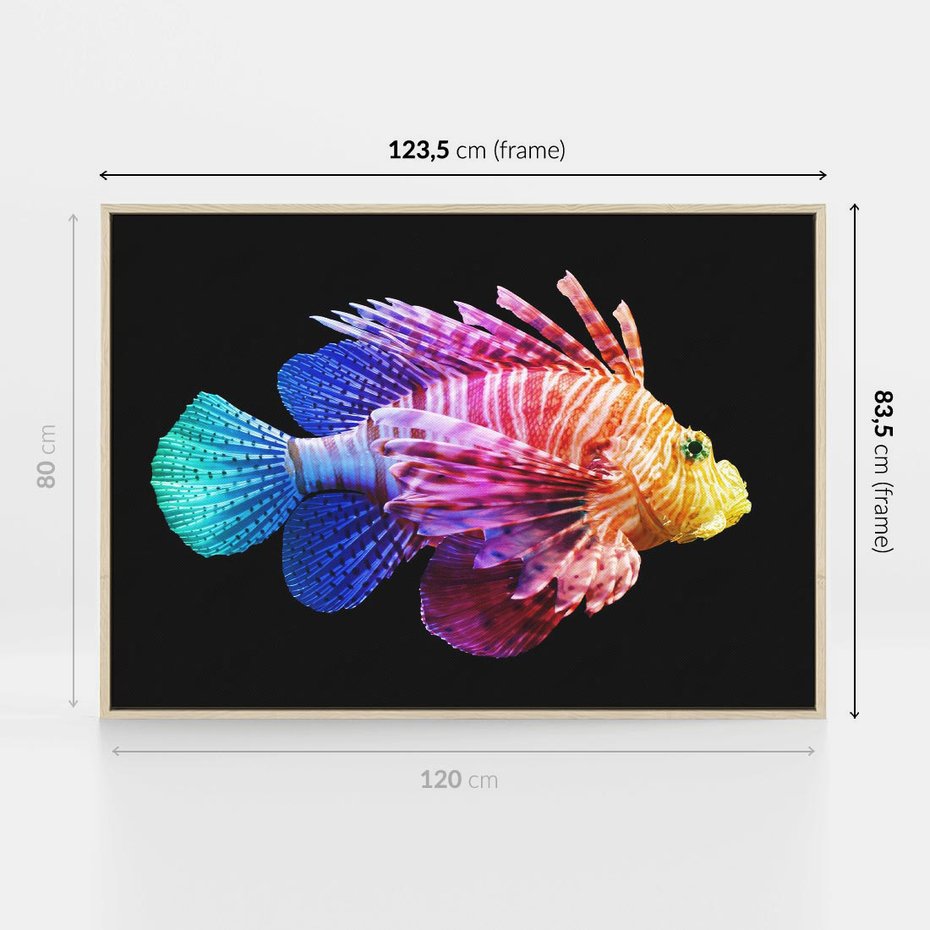 Obraz w ramie 120x80 - Tęczowa Piękność - kolorowa tęczowa ryba, mocny akcent na czarnym tle - rama drewno