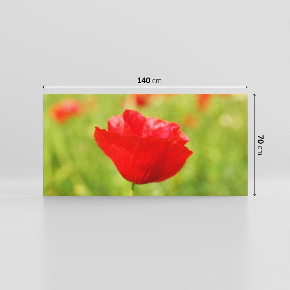 Obraz na płótnie 140x70 - Magia maku na łące - mak, łąka
