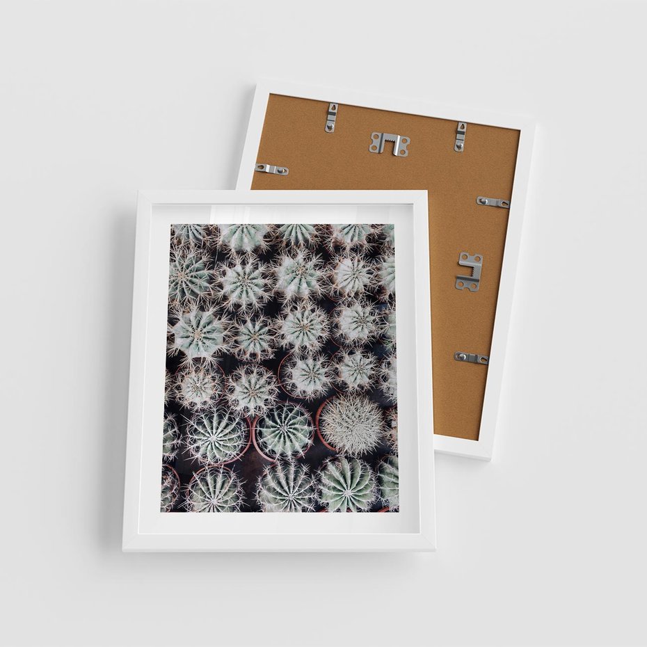 Plakat w ramie 40x50 - Wzór Kaktusów - kaktusy w doniczkach, ujęcie z góry - rama biała