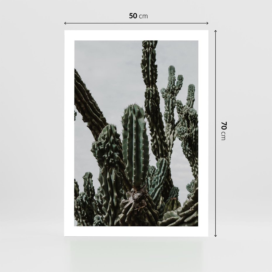 Plakat bez ramy 50x70 - Boho oaza wśród kaktusów - kaktusy, pustynia