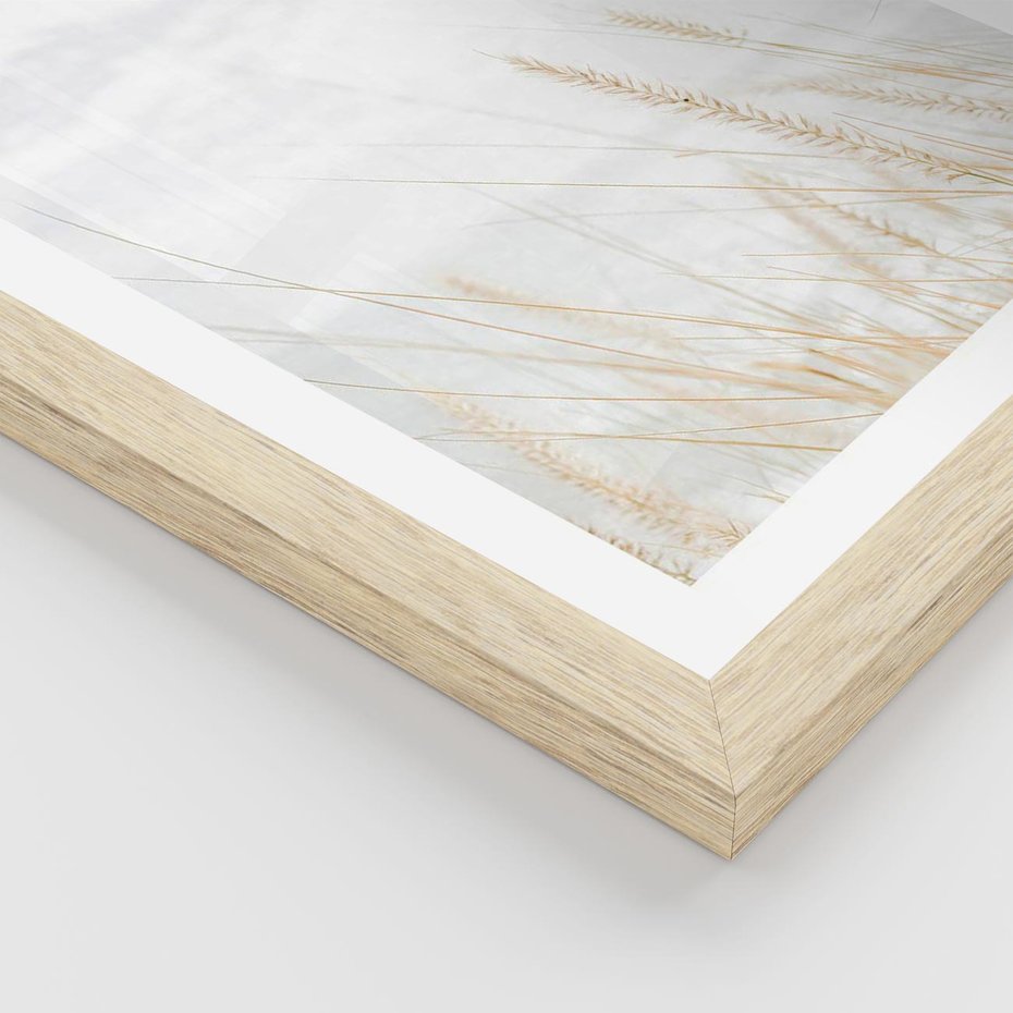 Plakat w ramie 40x50 - Jasna Delikatność: Fotografia Suchych Traw - suche trawy, jasna fotografia - rama drewno