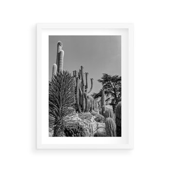 Plakat w ramie 50x70 - Pustynny Klimat - czarno białe zdjecie, pustynia - rama biała