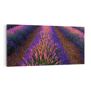 Obraz na płótnie 120x60 - Fioletowa Magia - pole, lawendy