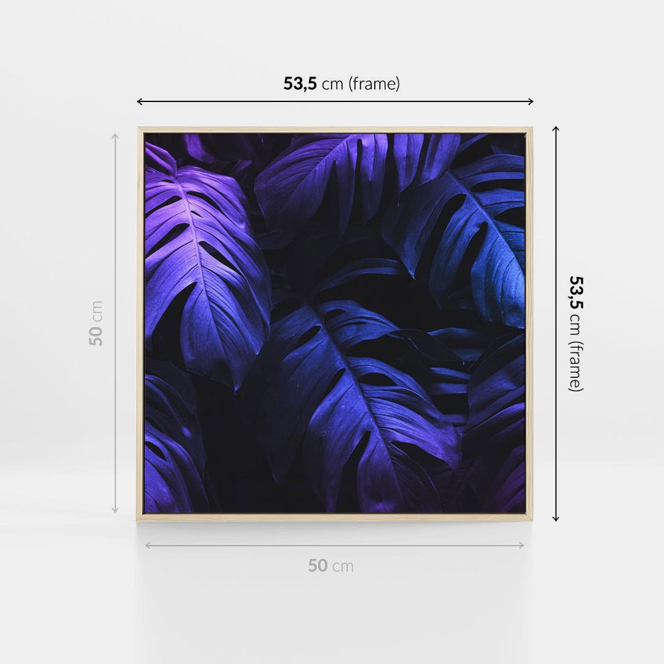 Obraz w ramie 50x50 - Mroczna Magia Dżungli - mroczna grafika, fioletowe liście monstery na czarnym tle - rama drewno