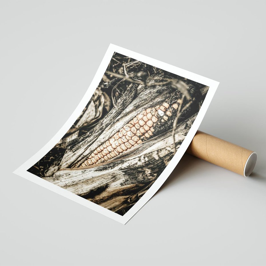 Plakat bez ramy 21x30 - Kukurydza w Jesiennej Scenie - kukurydza, jesień