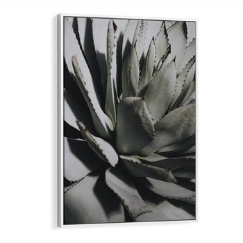Obraz w ramie 70x100 - Sukulenty wśród kaktusów - sukulenty, kaktusy - rama biała