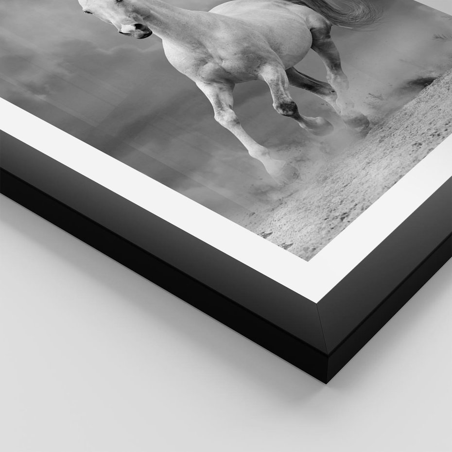 Plakat w ramie 40x50 - Elegancja w Czarno-Białym - koń, biało - rama czarna